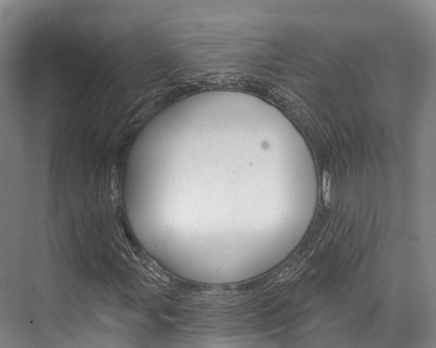 X0000076401107200610060922