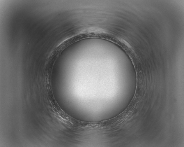 X0000076401112200610060922