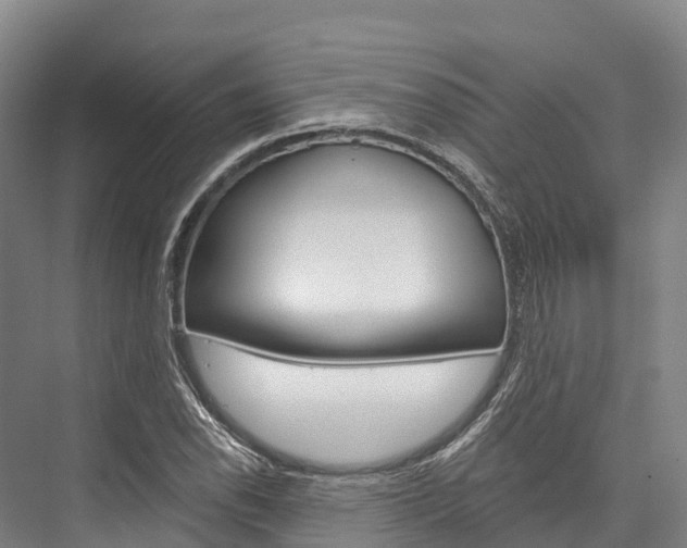 X0000076401118200610060922