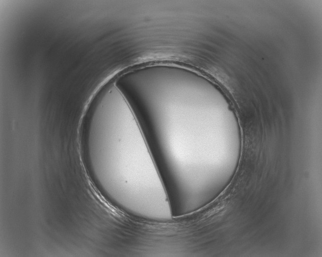 X0000076401119200610060922