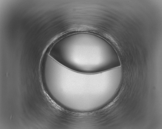 X0000076401122200610060922