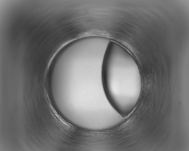 X0000076401123200610060922