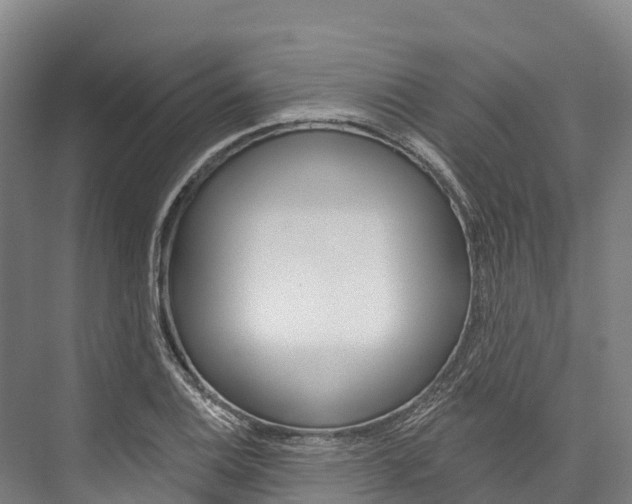 X0000076401124200610060922