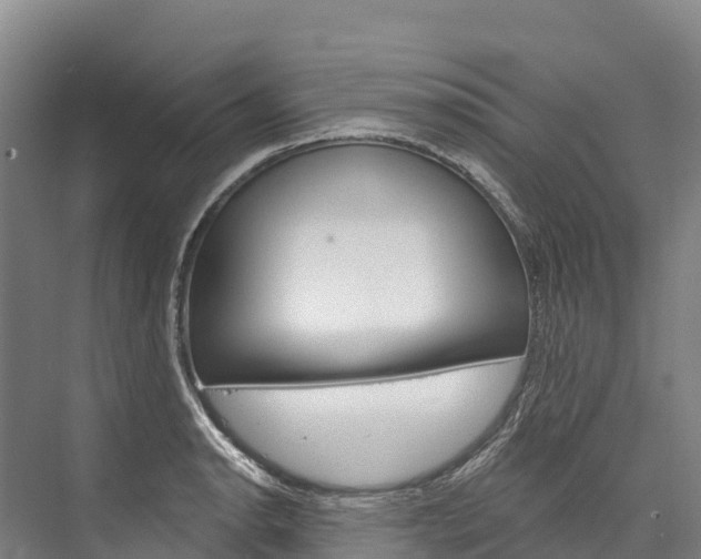 X0000076401134200610060923