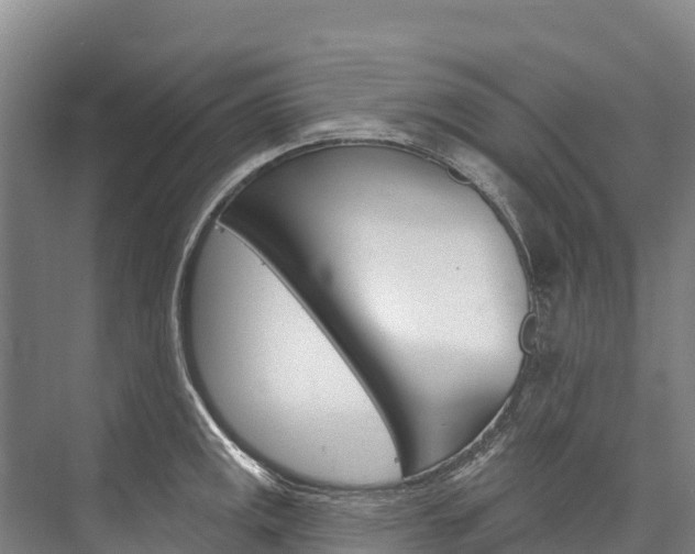 X0000076401141200610060923