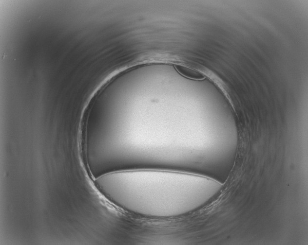 X0000076401147200610060923