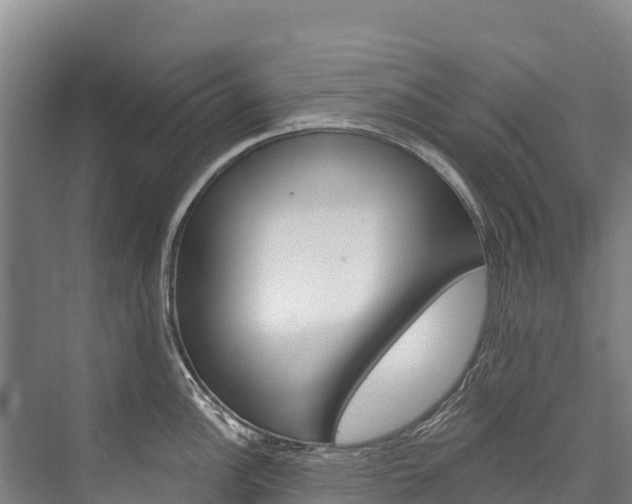 X0000076401148200610060923