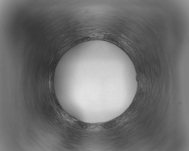 X0000076401154200610060922