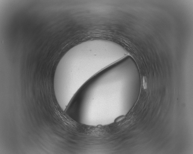 X0000076401155200610060922