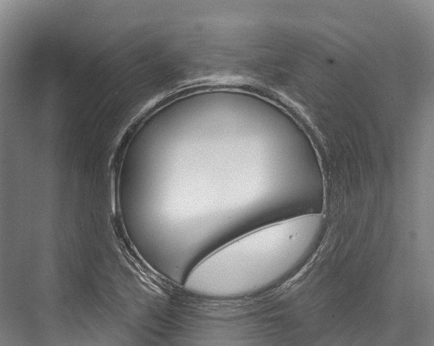 X0000076401171200610060922