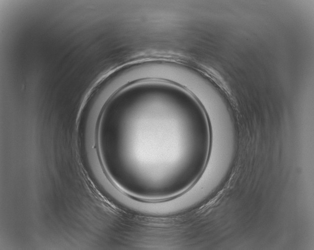 X0000076401172200610060922