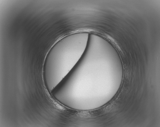 X0000076401186200610060922
