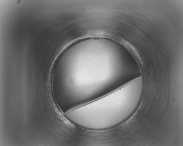 X0000076401192200610060921