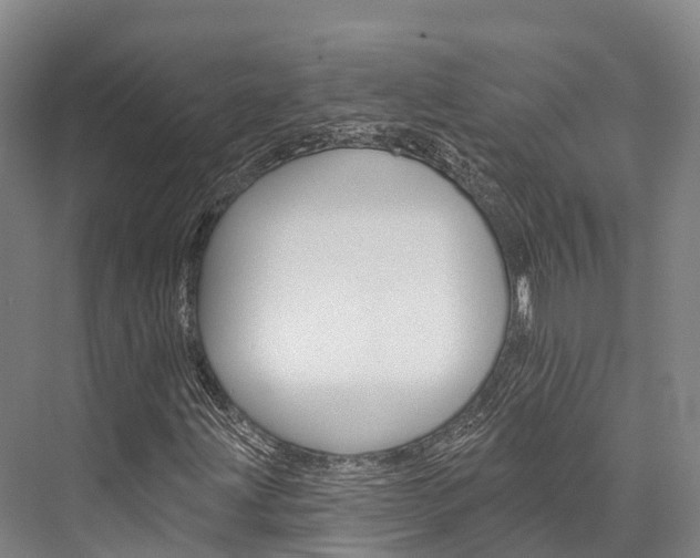 X0000076401203200610060920