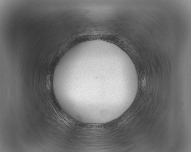 X0000076401204200610060921