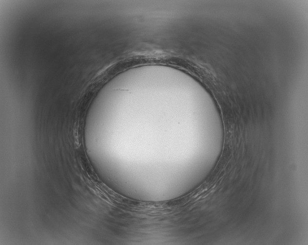 X0000076401205200610060921
