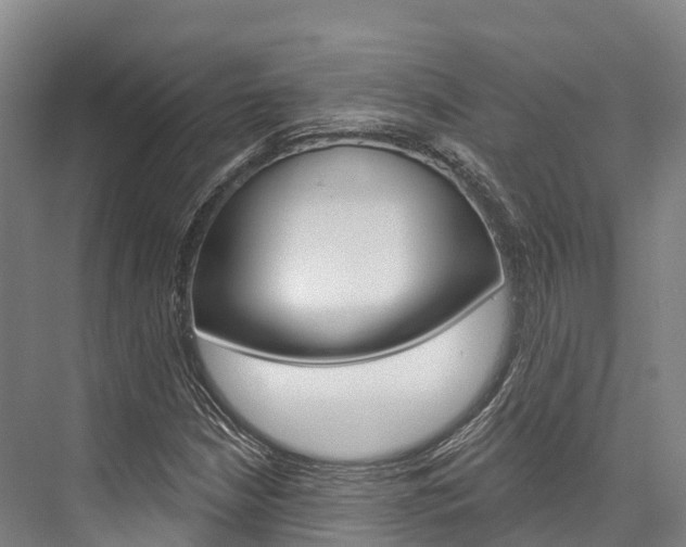 X0000076401210200610060921