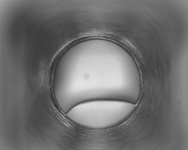 X0000076401216200610060921