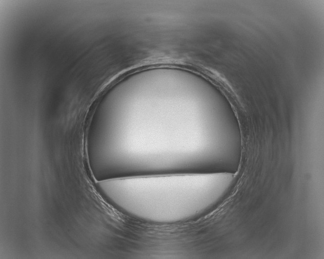 X0000076401220200610060921