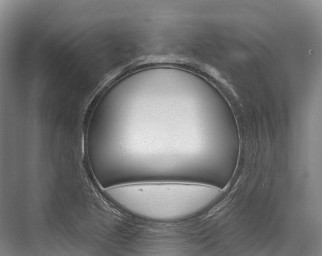 X0000076401221200610060921