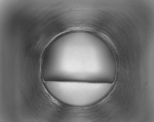 X0000076401228200610060921