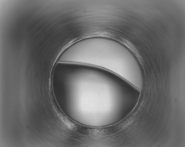 X0000076401234200610060921