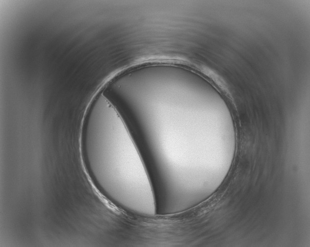 X0000076401237200610060921
