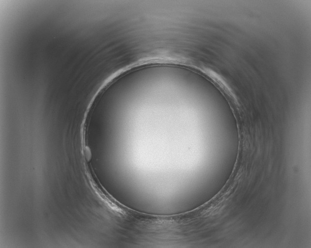 X0000076401238200610060921