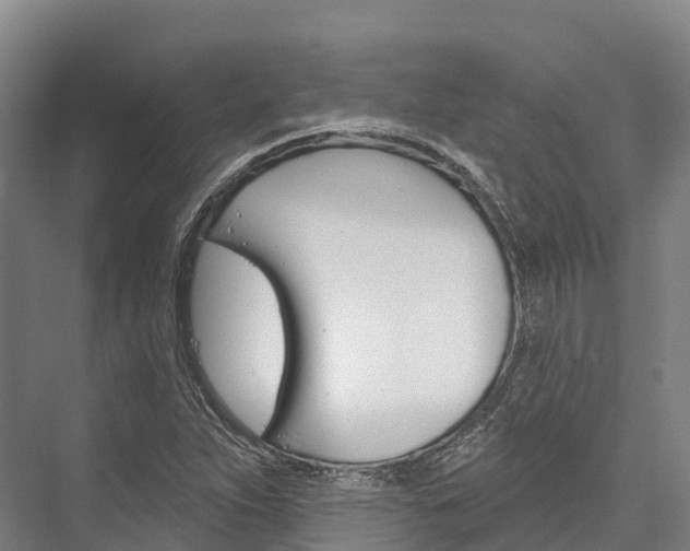X0000076401263200610060920