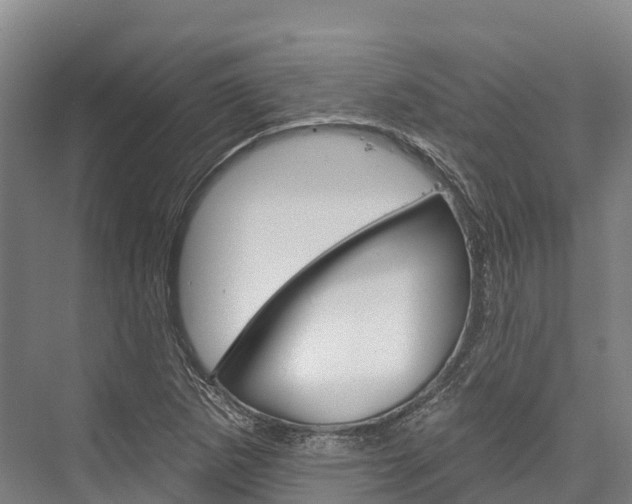 X0000076401265200610060920
