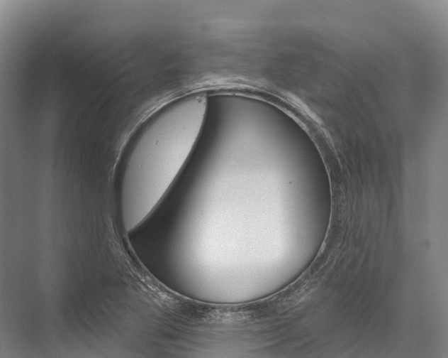 X0000076401269200610060920