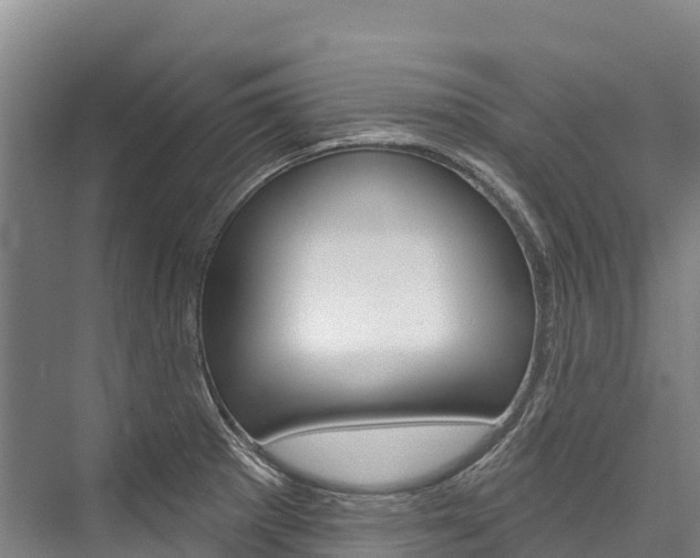 X0000076401281200610060920