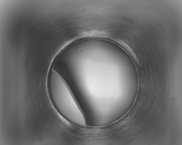 X0000076401285200610060920