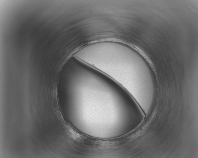 X0000076401289200610060920