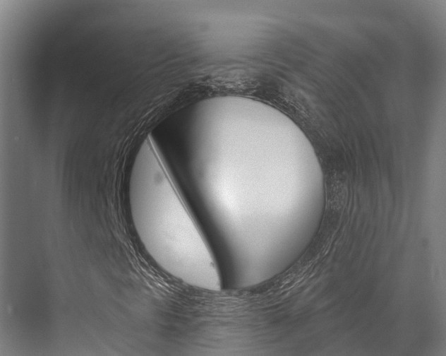X0000076401297200610060919