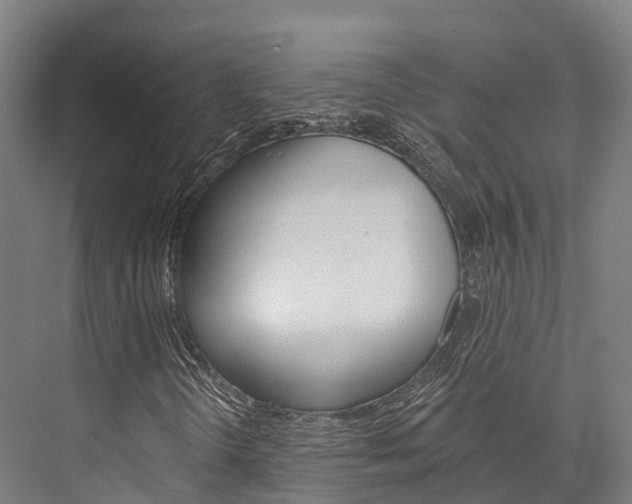 X0000076401298200610060919