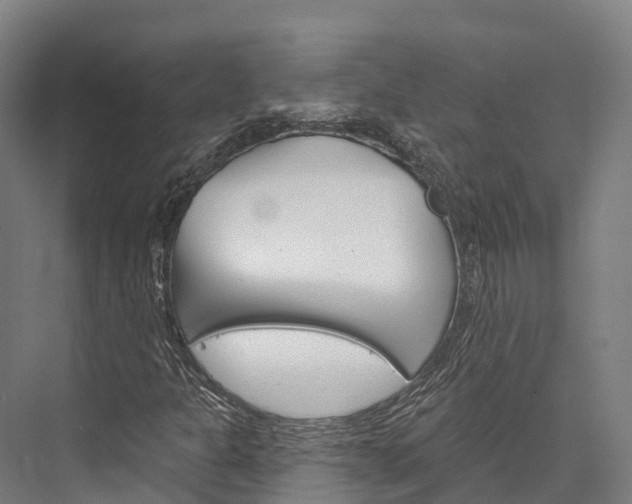X0000076401301200610060919