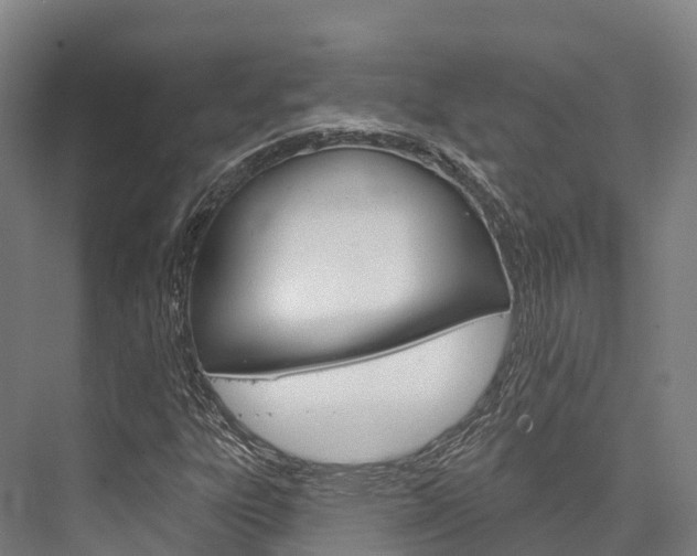 X0000076401303200610060919