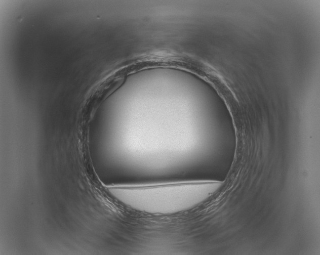 X0000076401304200610060919