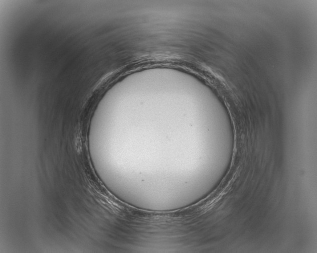X0000076401306200610060919