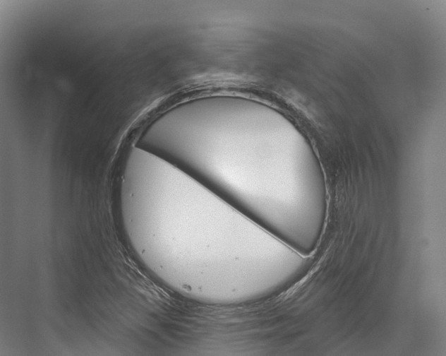 X0000076401309200610060919