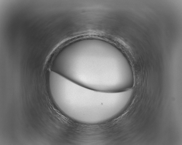 X0000076401310200610060919