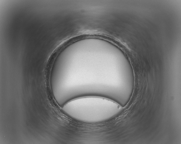 X0000076401311200610060919