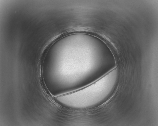 X0000076401317200610060919