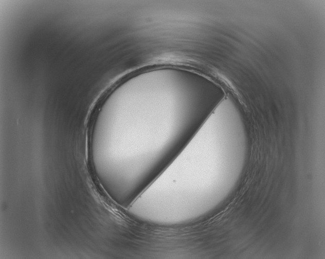 X0000076401323200610060919