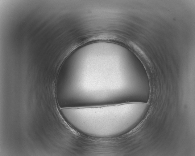 X0000076401329200610060919