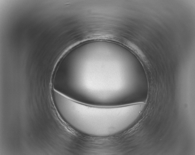 X0000076401332200610060919