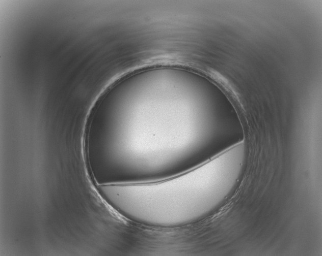 X0000076401334200610060919