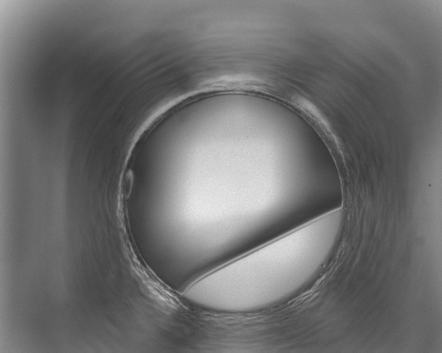 X0000076401336200610060920