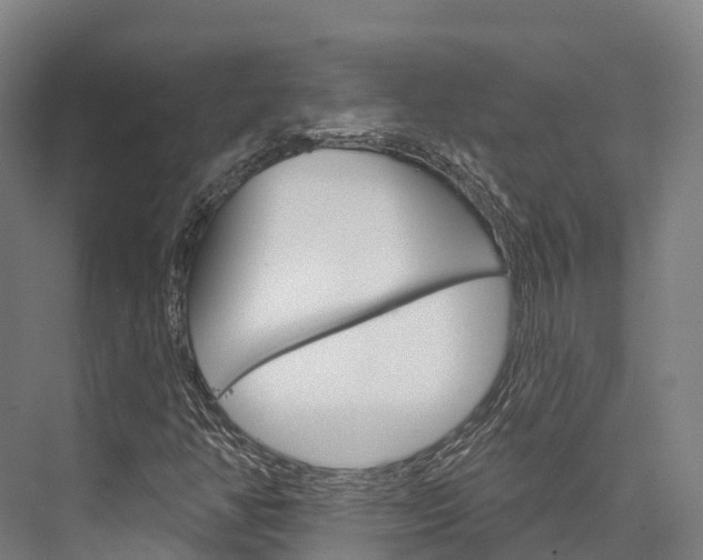 X0000076401350200610060919